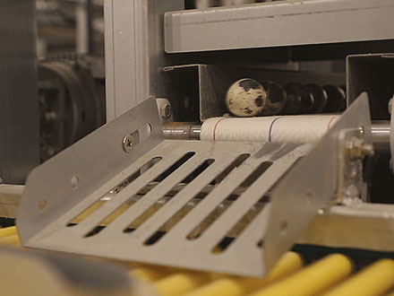 Automatic egg collecting for quail cages