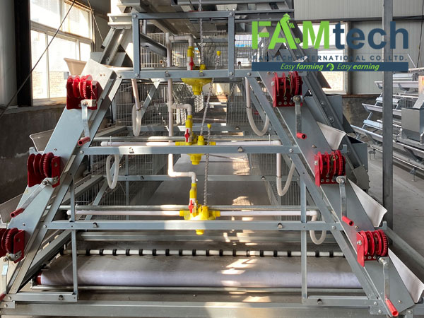 automatic drinking for a type cage