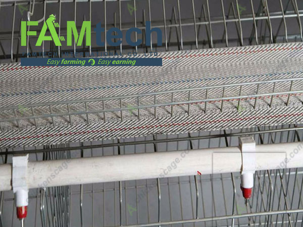 automatic drinking system for h type cage