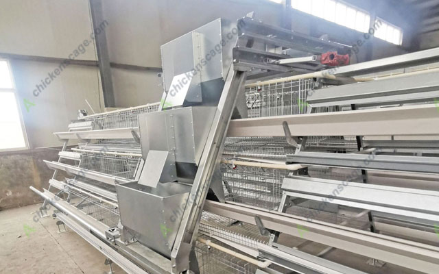 automatic feeding chicken layer cage