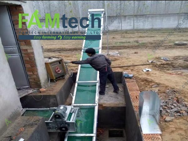 automatic manure cleaning for 4 tier layer cage
