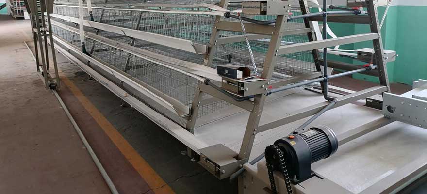 automatic manure removal system advantages