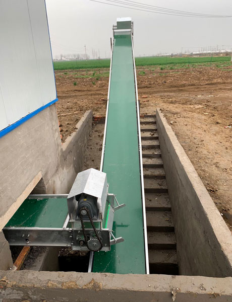 automatic poultry manure removal system supplier