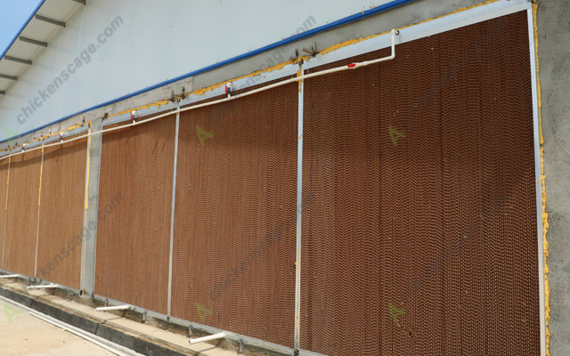 automatic ventilation chicken layer cage