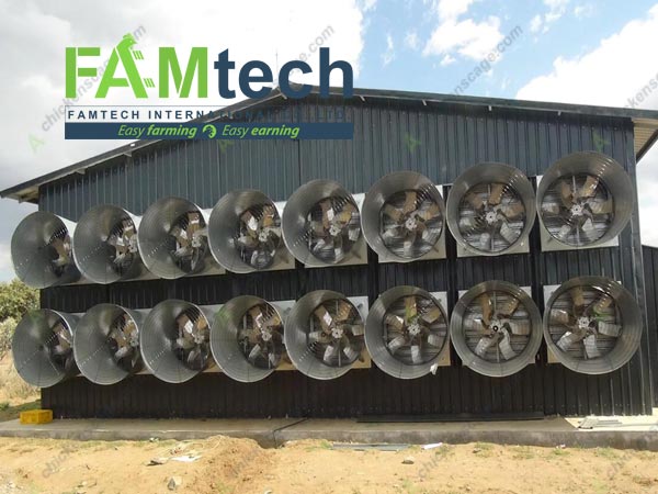 exhuast fans for ventilation system