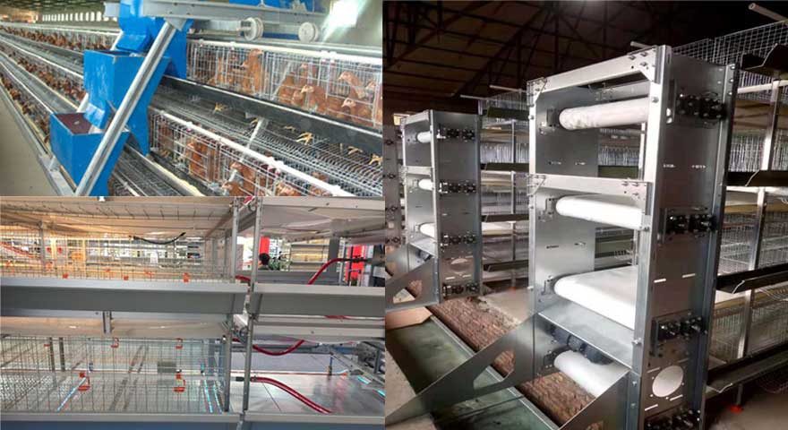 automatic system for hitech hen cage system