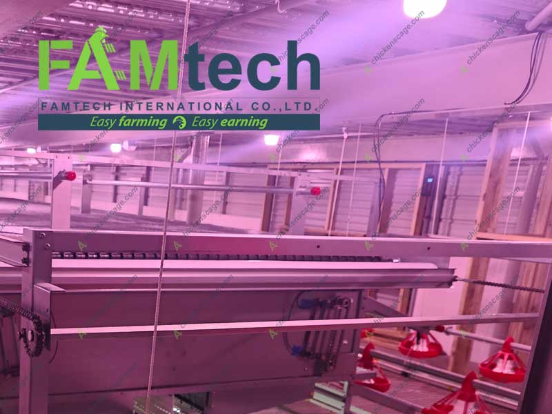 lignting in aviary system