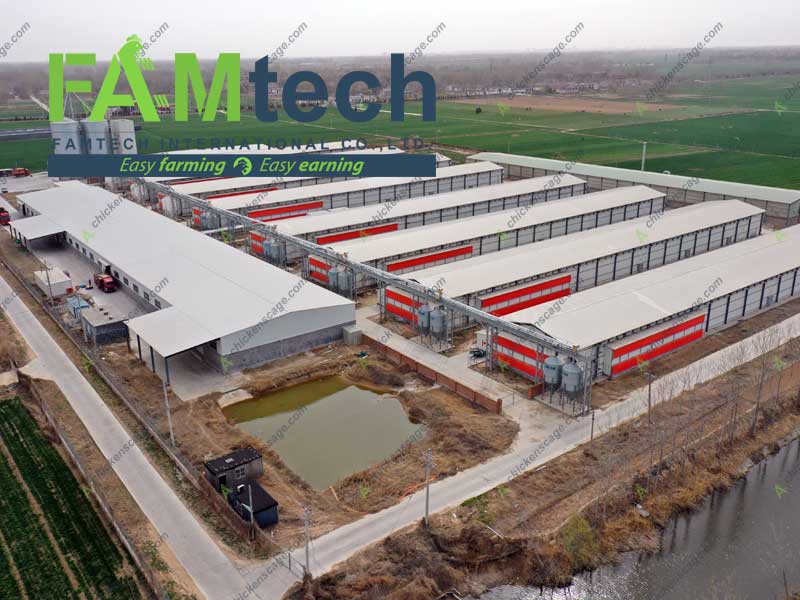 aviary poultry system project