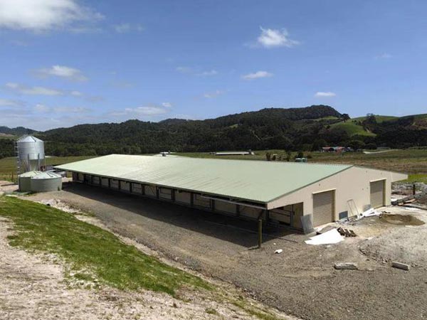 aviary system for chicken barn 