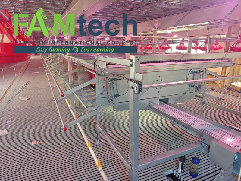 frame work for aviary system