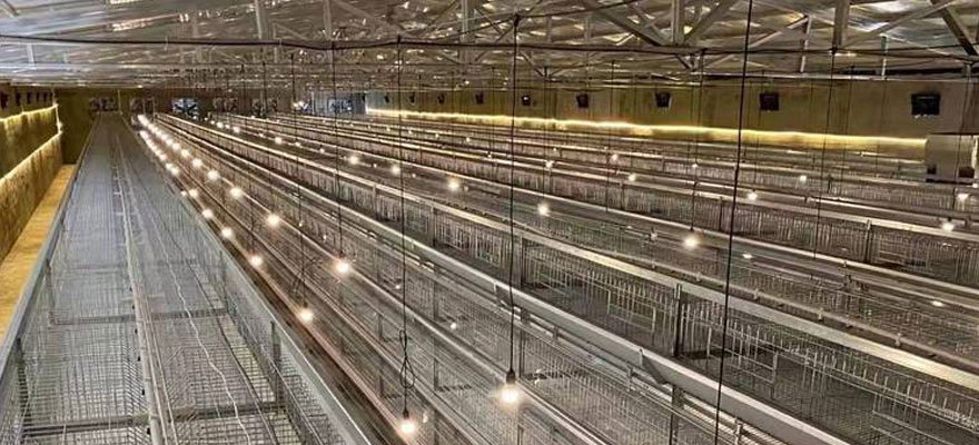 benefits of battery cage system in poultry