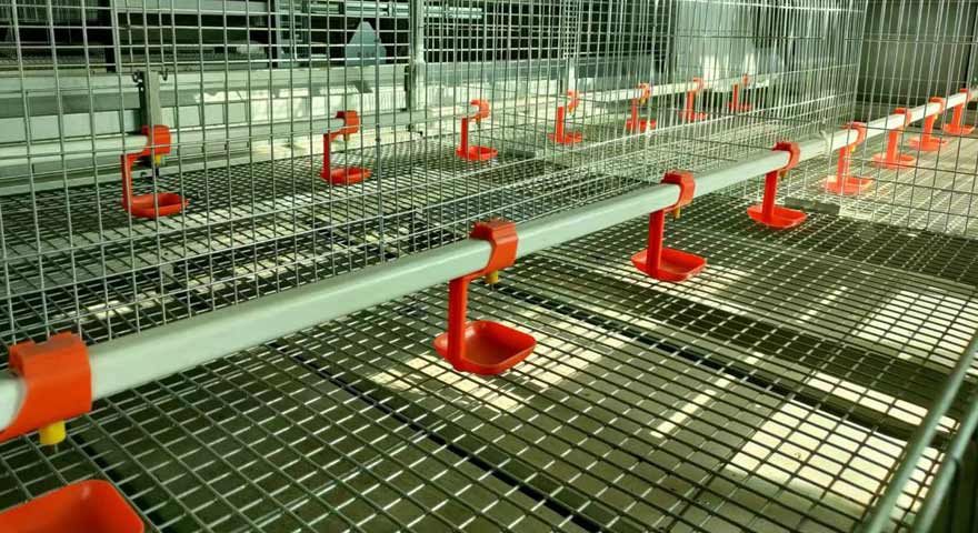 chicken layer cage bottom net design
