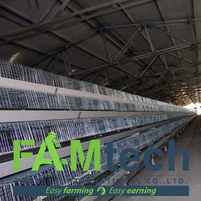 broiler poultry house project