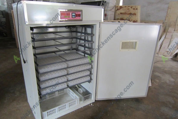 medium sized commercial incubator supplier