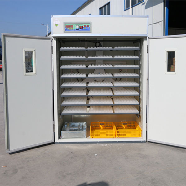 cabinet incubator for various eggs