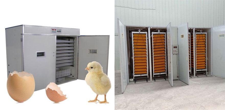 capacity of cabinet egg incubators