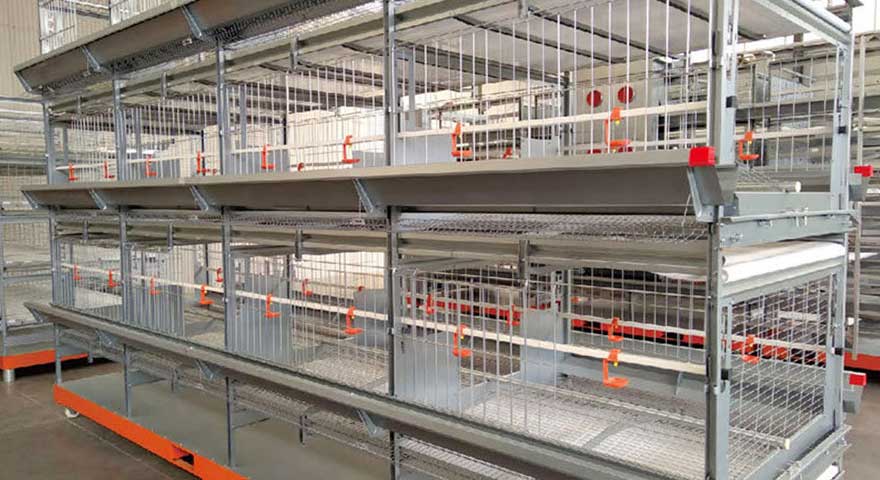 chicken breeder cage recommondations
