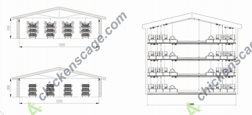 chicken breeding systems