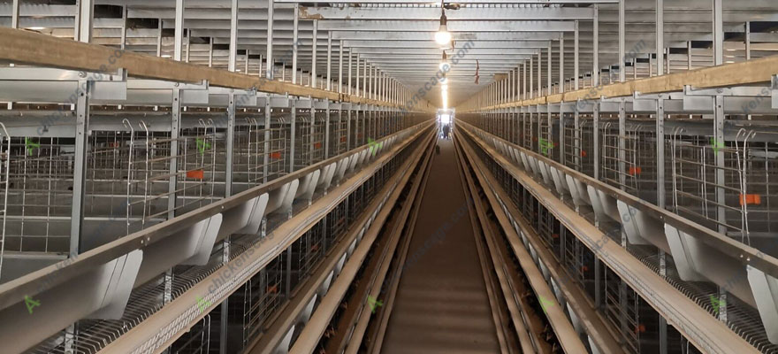 chicken cages for sale in Philippines