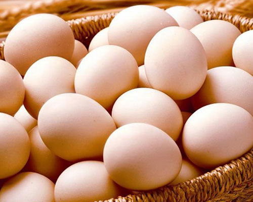 egg quality factors