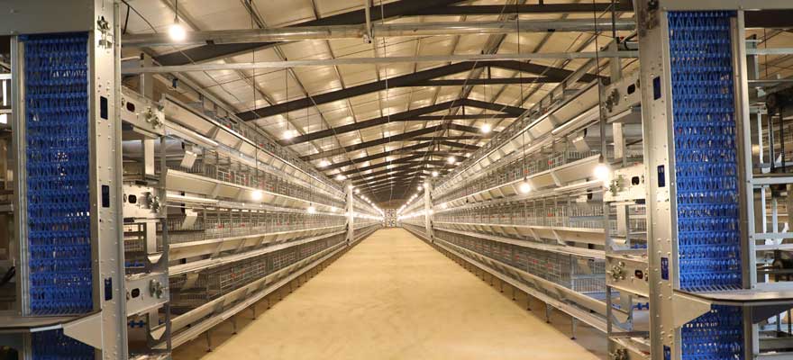 chicken house facilities