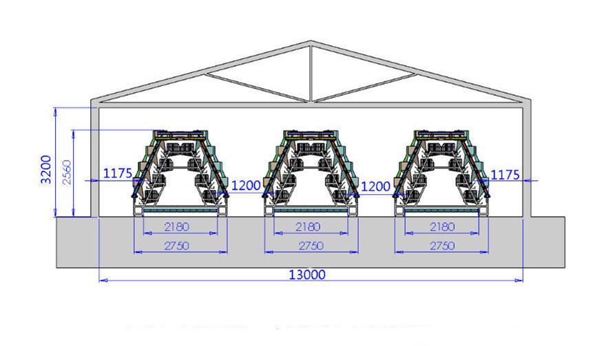 layout drawing for A type 4 tier chicken cage