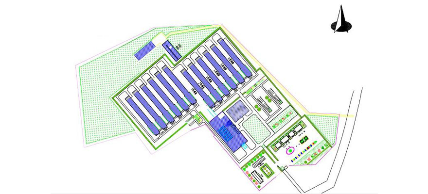 chicken farm site and layout