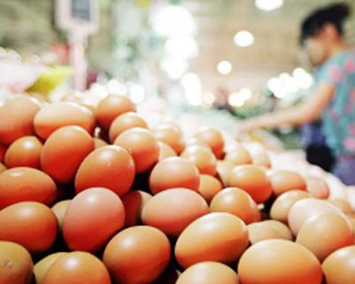 chicken eggs sold on market