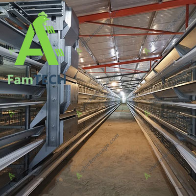 30000 layer housing feeding back