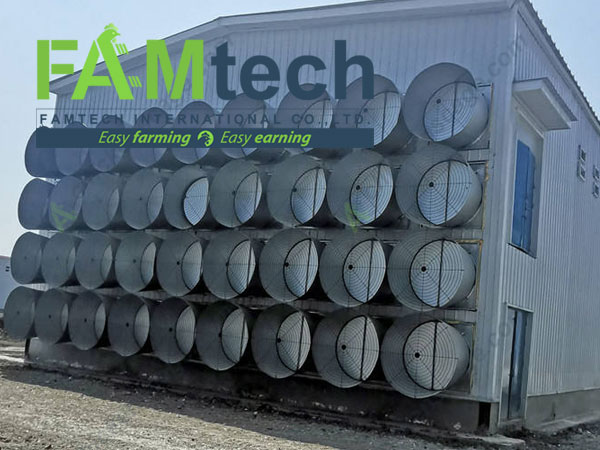 h type broiler cage climate control system