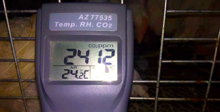 temperature control of broiler cage system