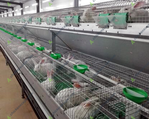 commercial rabbit breeding cage features