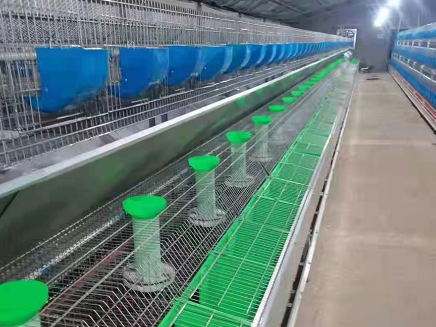 commercial breeding rabbit cages feature 4 