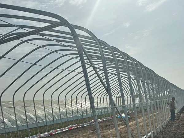 construction for quail layer cages