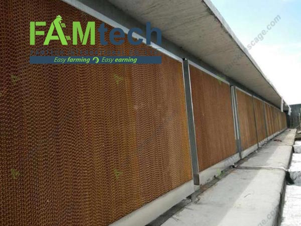 cooling pads for 4 tier layer farm