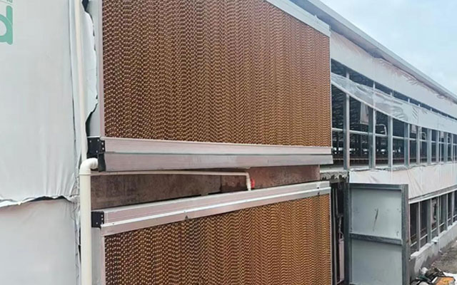 cooling solutions for chicken farm design