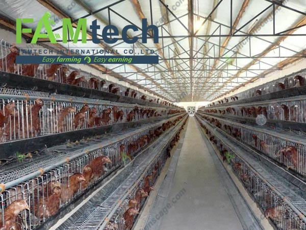 custom design for 4 tier layer project