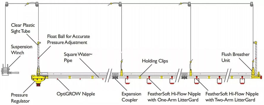 drawing-of-poultry-drinking-system