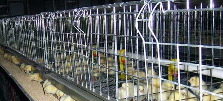 strong and durable materials and structures