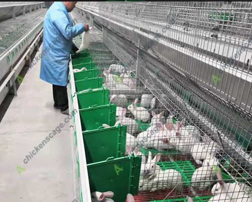 commercial rabbit breeding cage make farm management easy