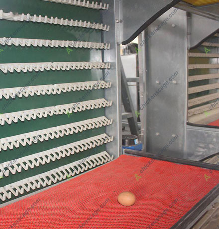 layer cage auxiliary equipment