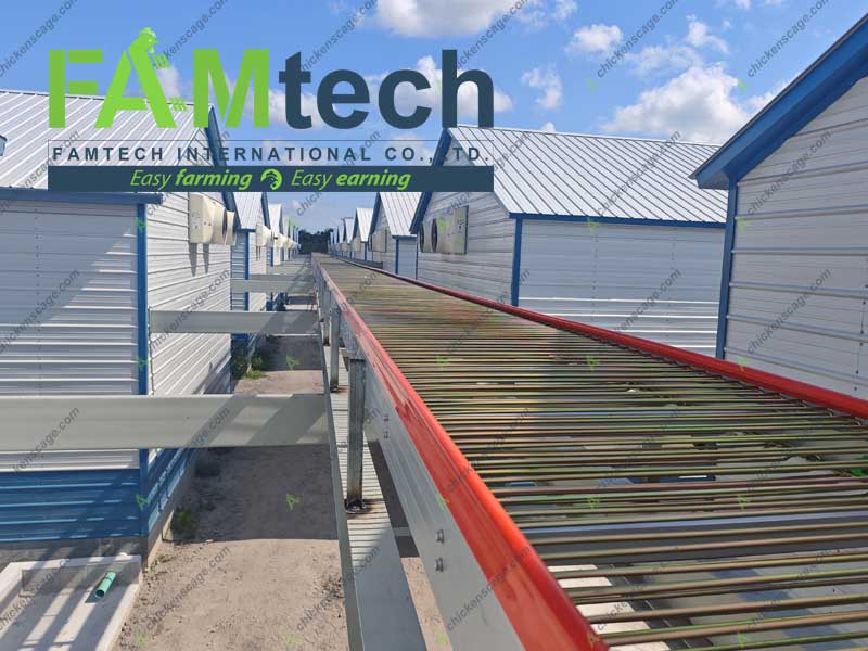 egg collecting system for aviary system