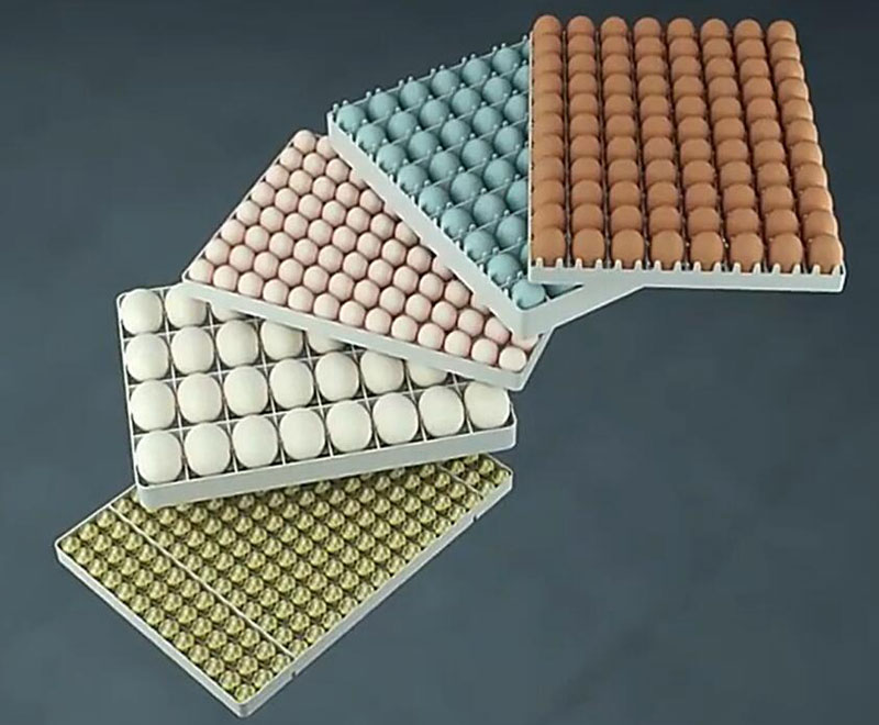 various types of egg turning trays