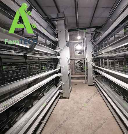 overseas project experience