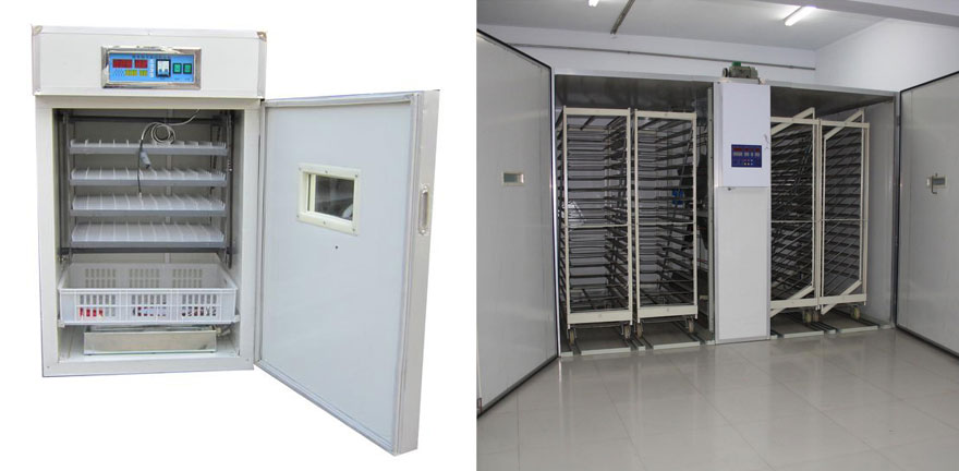 common capacities for cabinet incubator