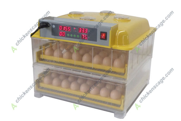 egg incubator for family use