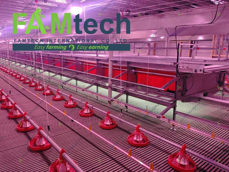 feeding and drinking system