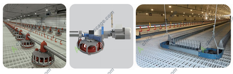 pan feeding system & chain feeding system