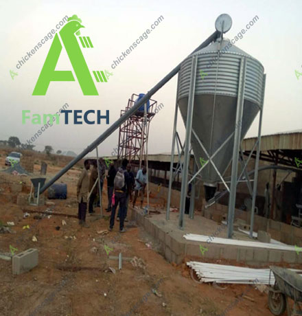 feeding silo for 30000 layer farm