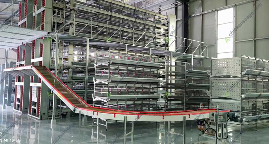 fully automatic central egg collection machine